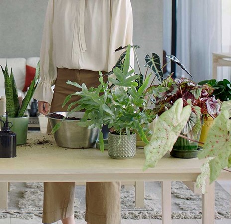 air purifier banner