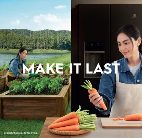 Homepage taste banner